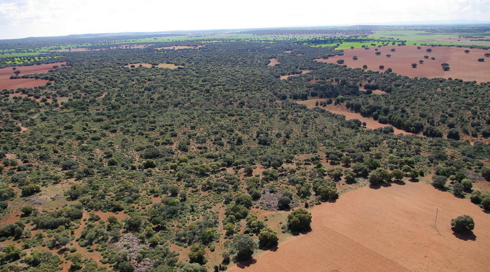 Finca agrícola y cinegética en Albacete