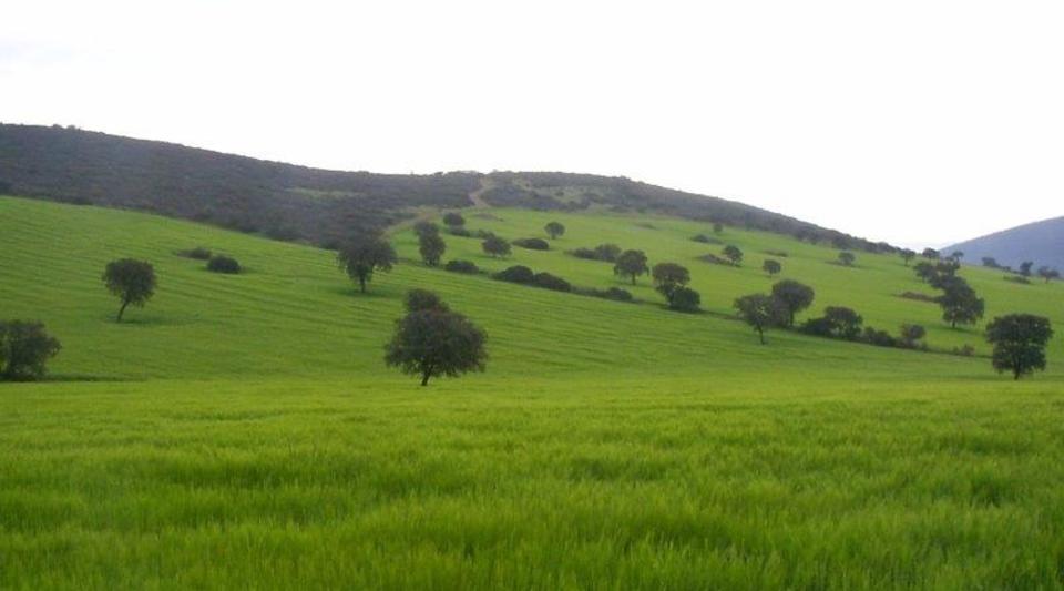 Finca Ciudad Real