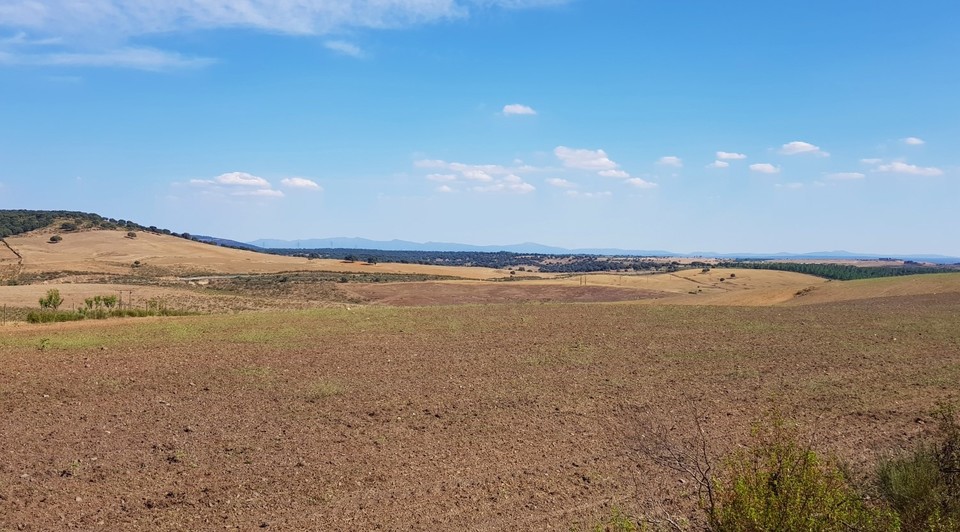 Finca con dehesa, sierra y labor en venta