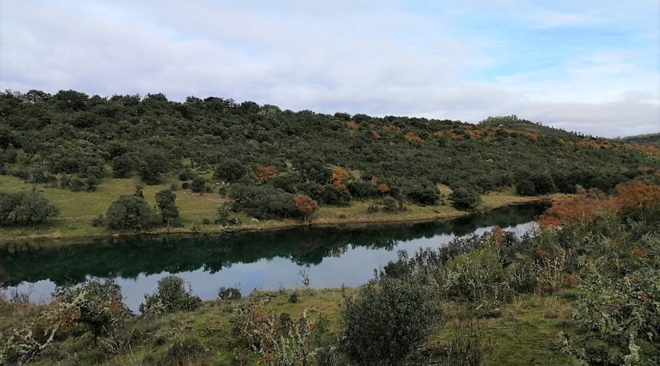 Finca de caza Badajoz