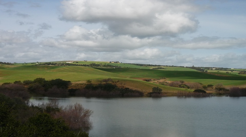 finca mixta Cádiz