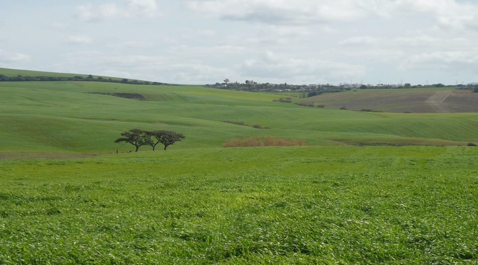 finca regadío y secano cádiz