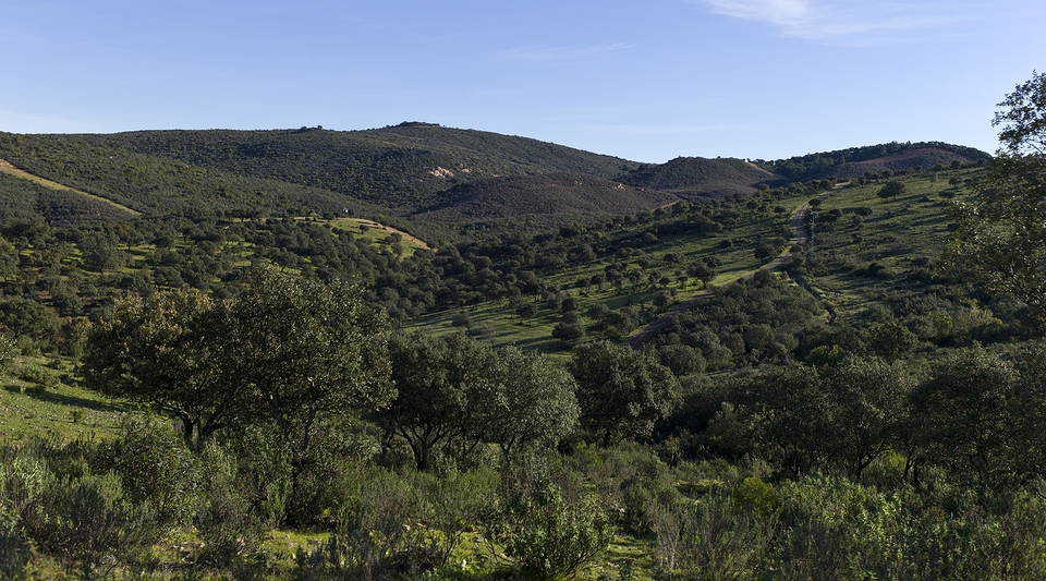 finca cinegética sevilla