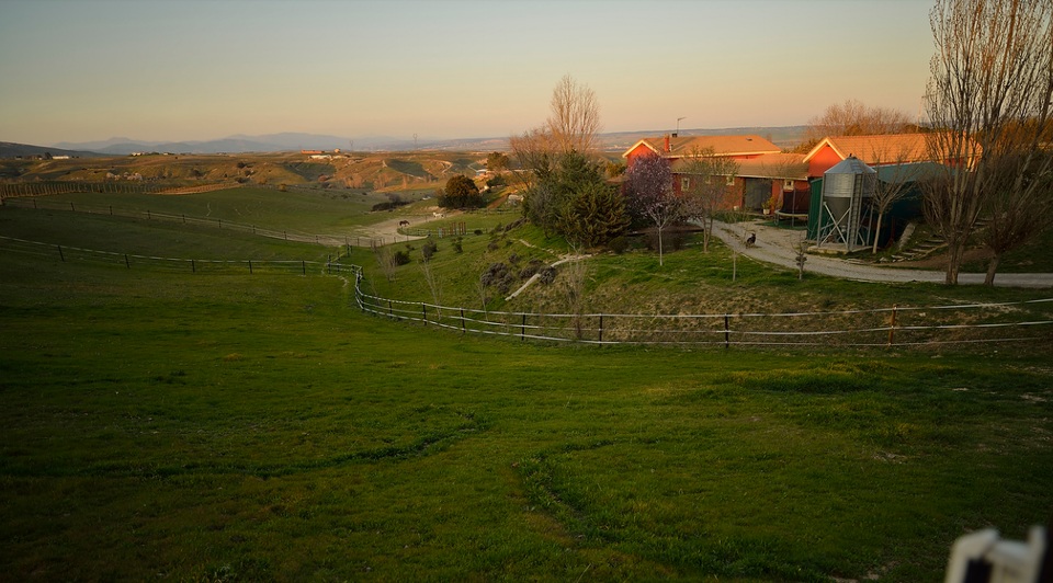 finca recreo caballos madrid