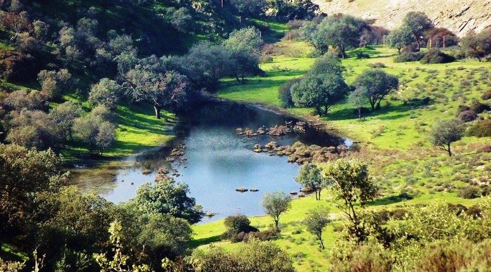 finca de caza y ganado en Jaén