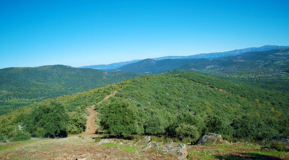 Pequeña finca de caza en venta