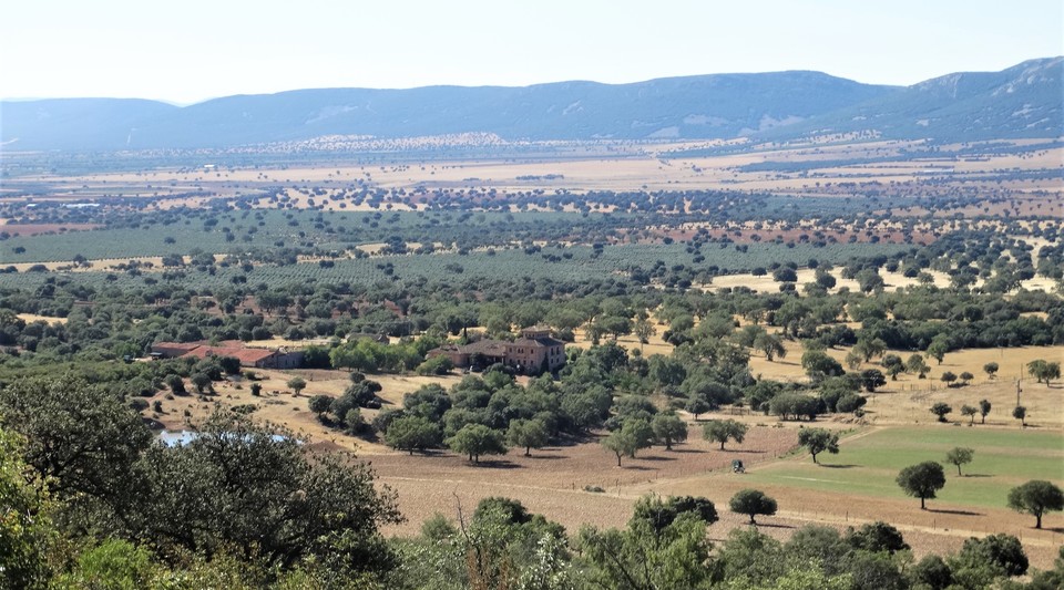 cortijo finca