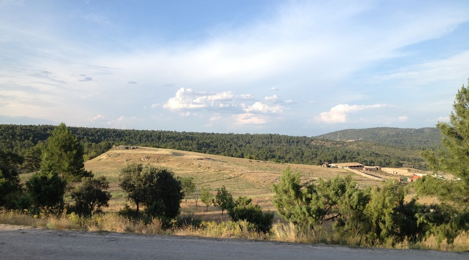 pastos y pinar finca cuenca