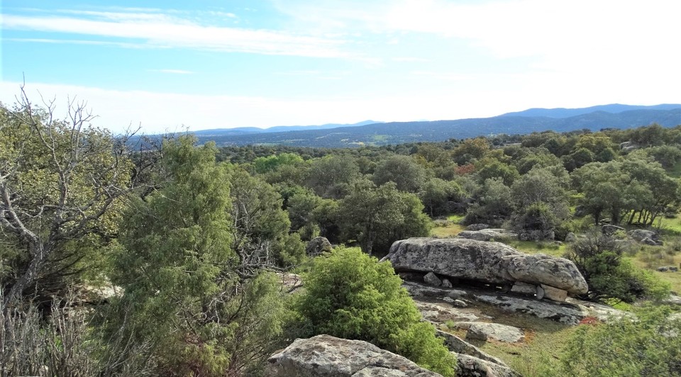 vistas sierra