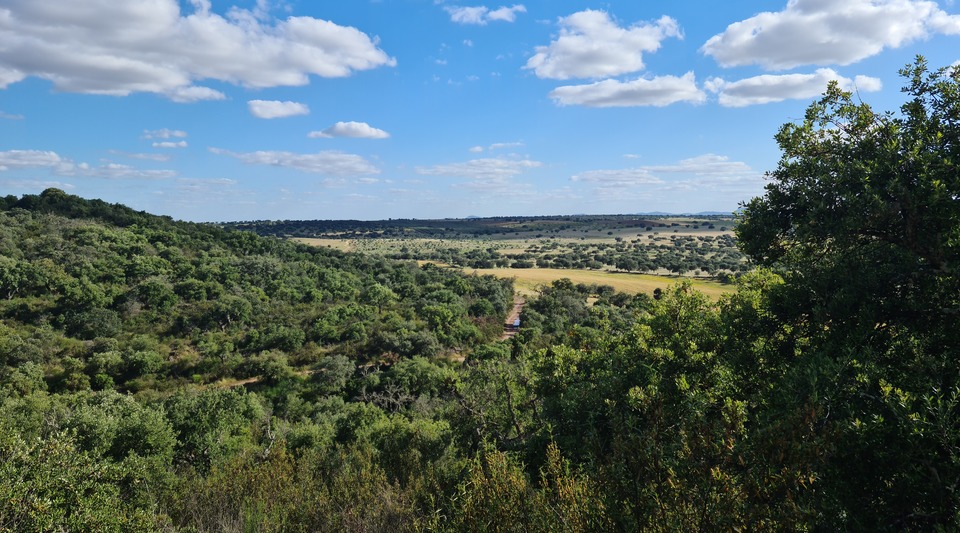 dehesa mérida