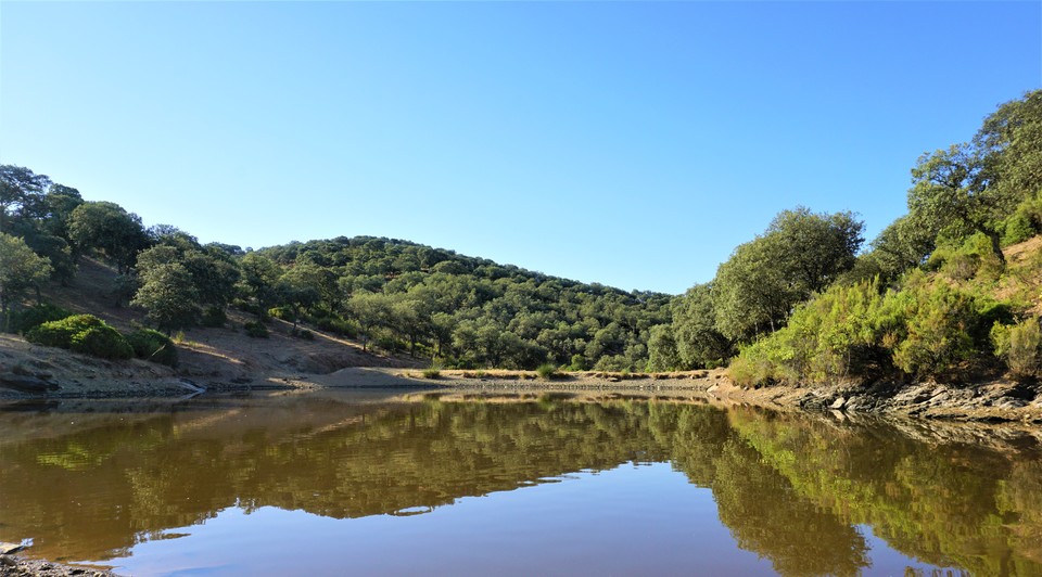 charca sierra morena