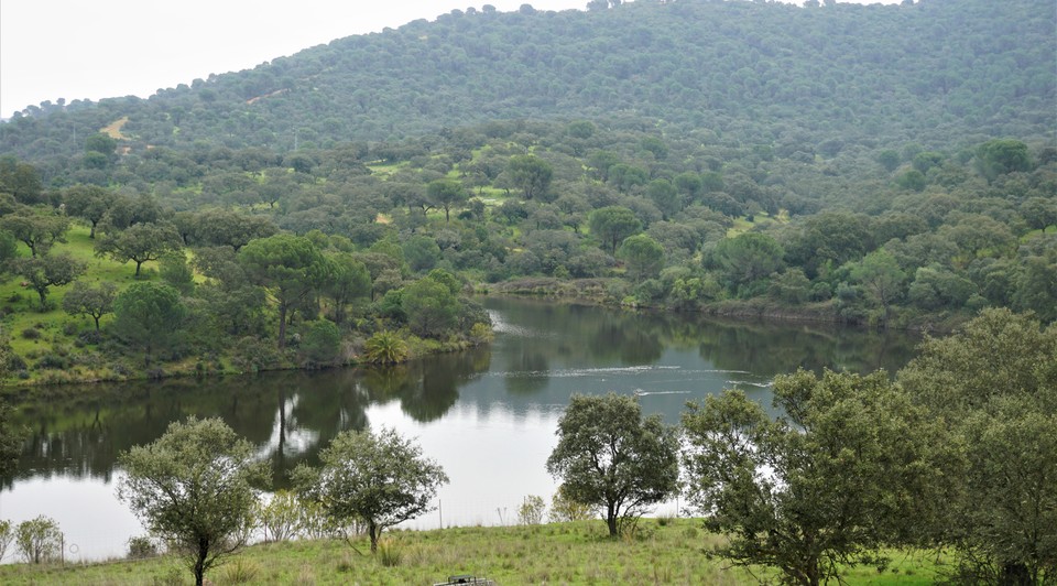 pantano finca córdoba