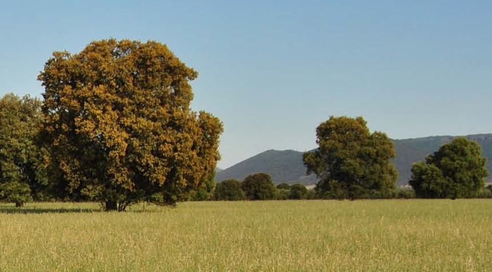 Finca venta Toledo