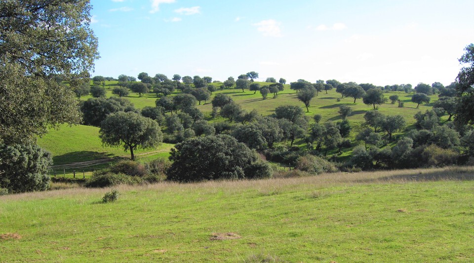 se vende finca de recreo en toledo