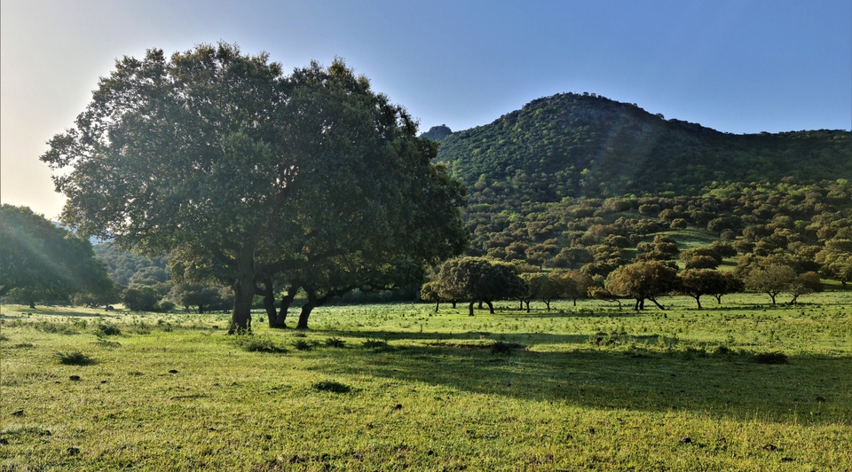 finca de caza en venta