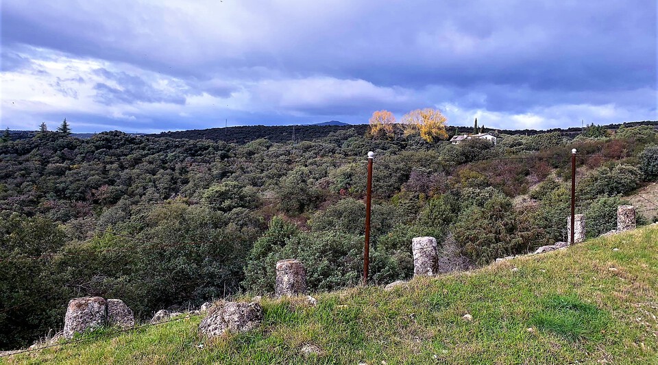 finca recreo en venta