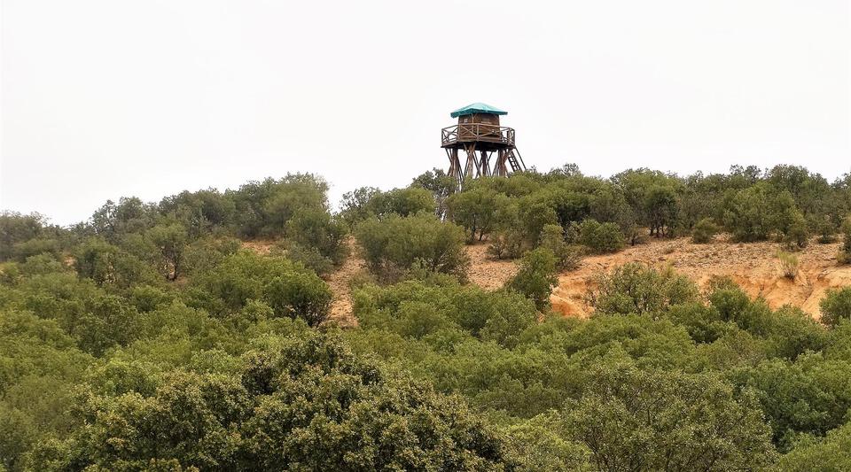 en venta finca de caza mayor