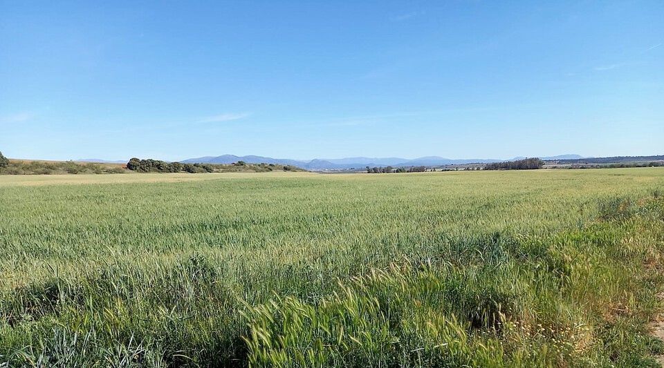 finca regadío y secano