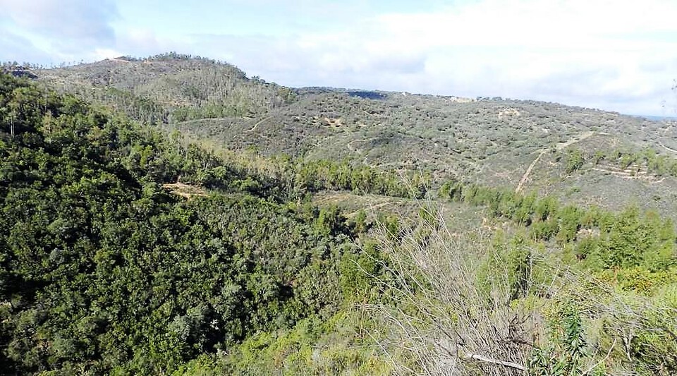 finca de caza en venta