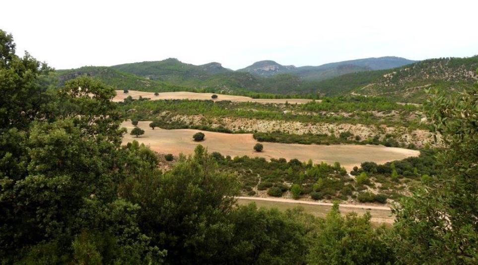 finca de caza y labor en cuenca