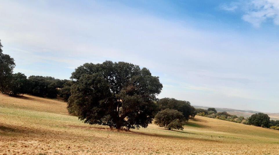 finca de caza menor en toledo