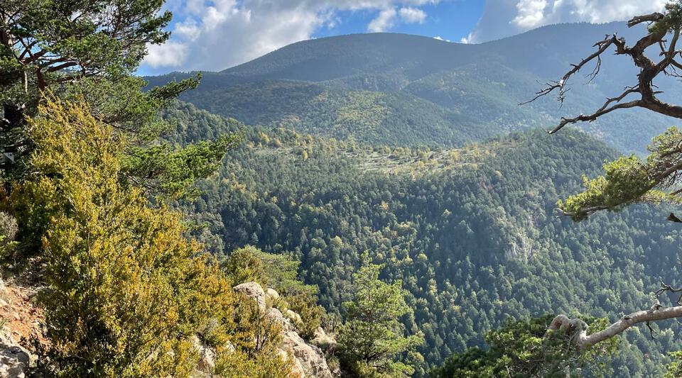 se vende finca forestal y de caza en cataluña