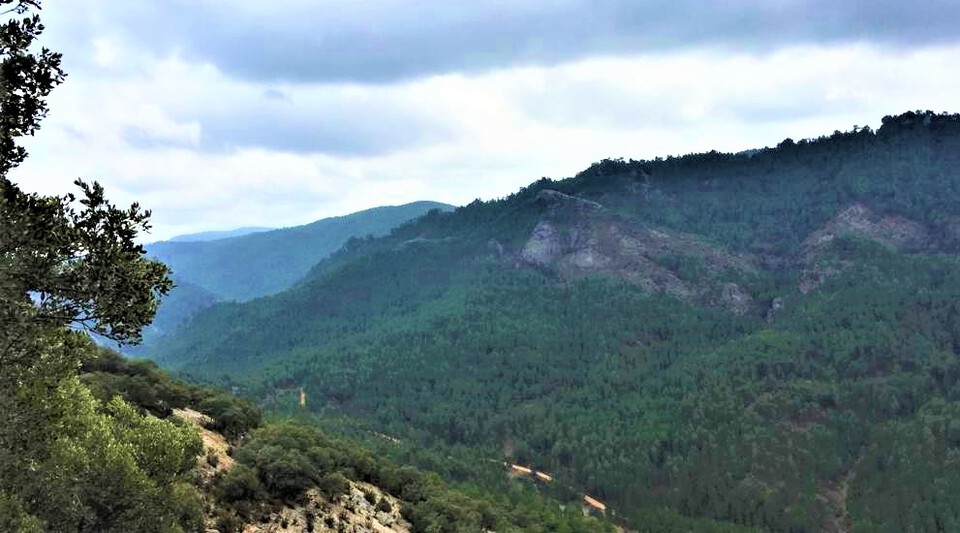 se vende finca de caza en Cuenca