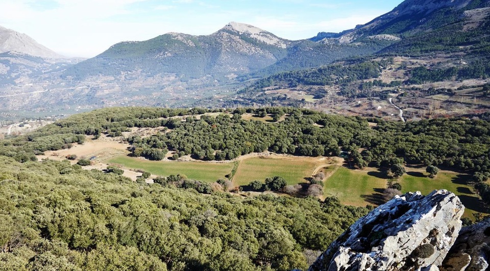 en venta finca de caza en jaén