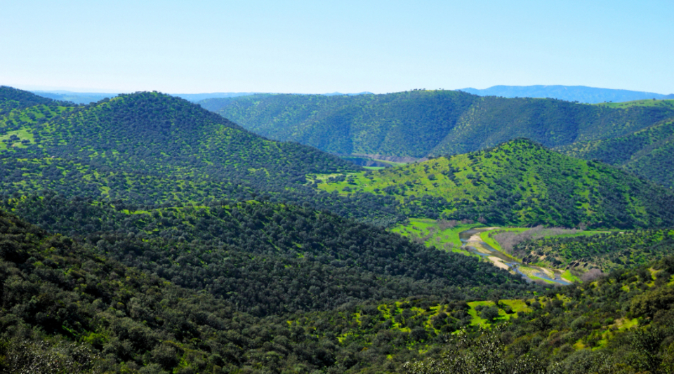 finca en venta