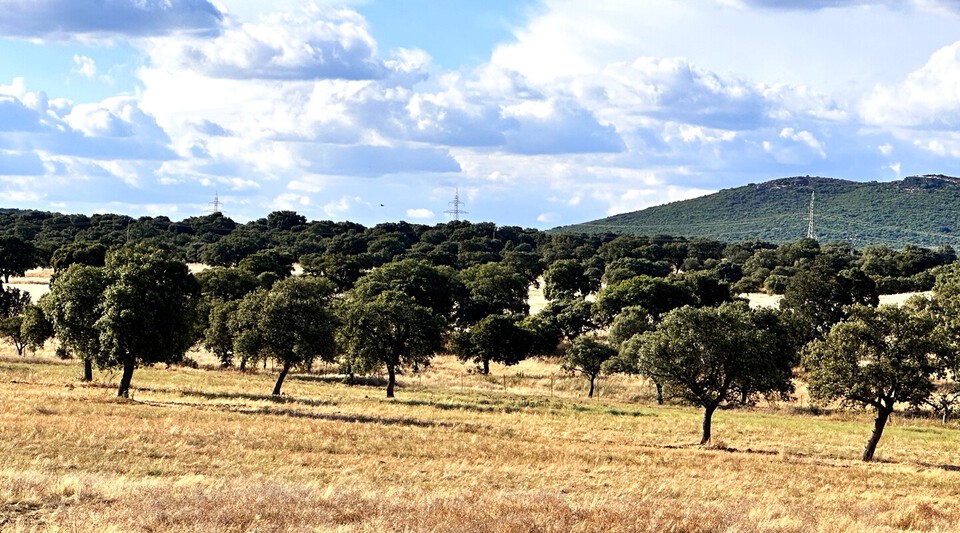 Finca de recreo y agrícola en venta