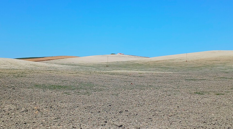 se vende finca de secano en Cádiz