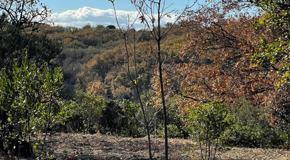 finca de recreo en cáceres