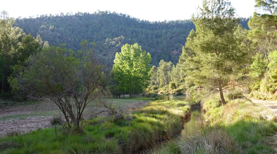 se vende finca de caza en Cuenca